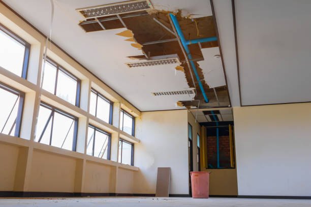 Best Carpet water damage restoration  in Owosso, MI