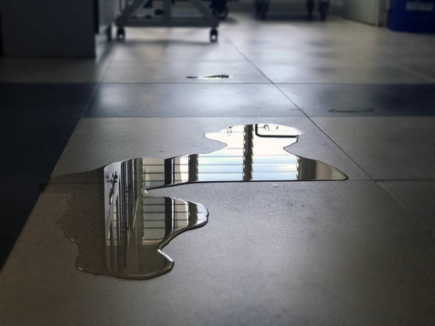 Professional Water damage restoration in Owosso, MI