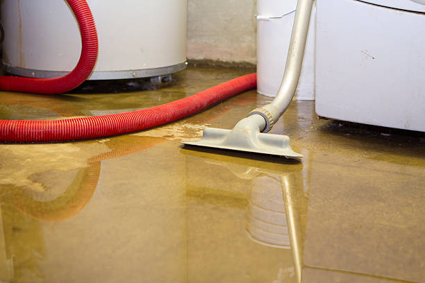 Best 24-hour water damage restoration  in Owosso, MI