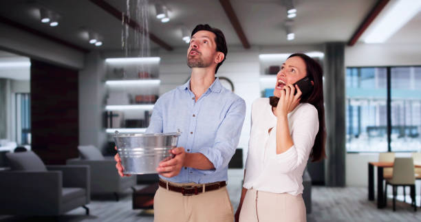 Best Flooded house restoration  in Owosso, MI