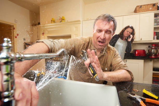 Best Flood damage cleanup  in Owosso, MI